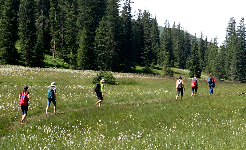 Hiking 3